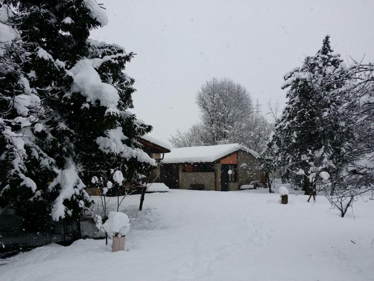 R&B Albero Cavo Parma Bed and Breakfast Buitenkant foto