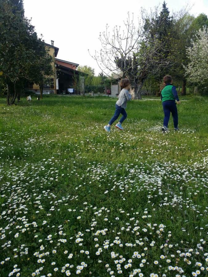 R&B Albero Cavo Parma Bed and Breakfast Buitenkant foto