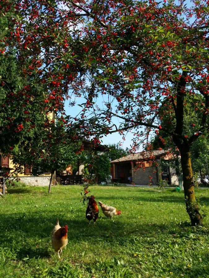 R&B Albero Cavo Parma Bed and Breakfast Buitenkant foto