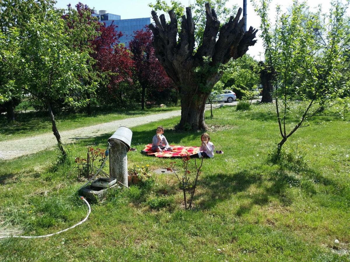 R&B Albero Cavo Parma Bed and Breakfast Buitenkant foto