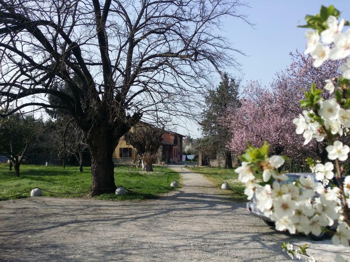 R&B Albero Cavo Parma Bed and Breakfast Buitenkant foto